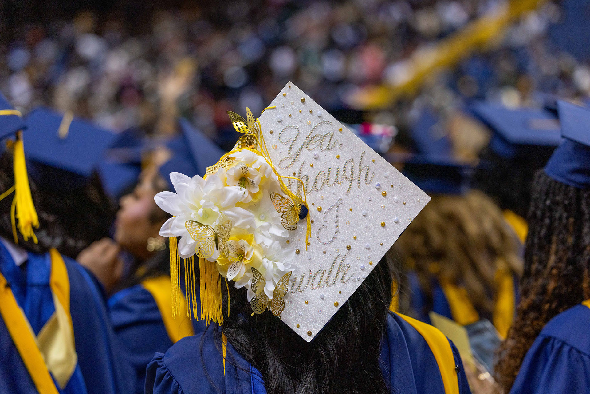 mortar board